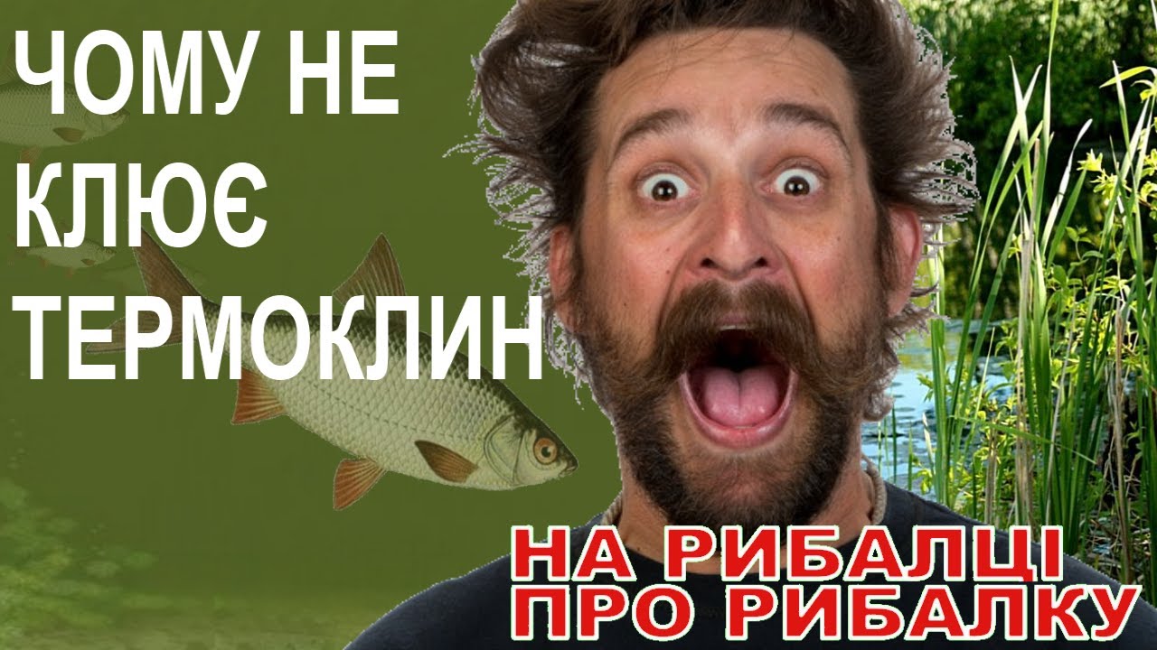 Термоклин  Чому не клює і де риба?