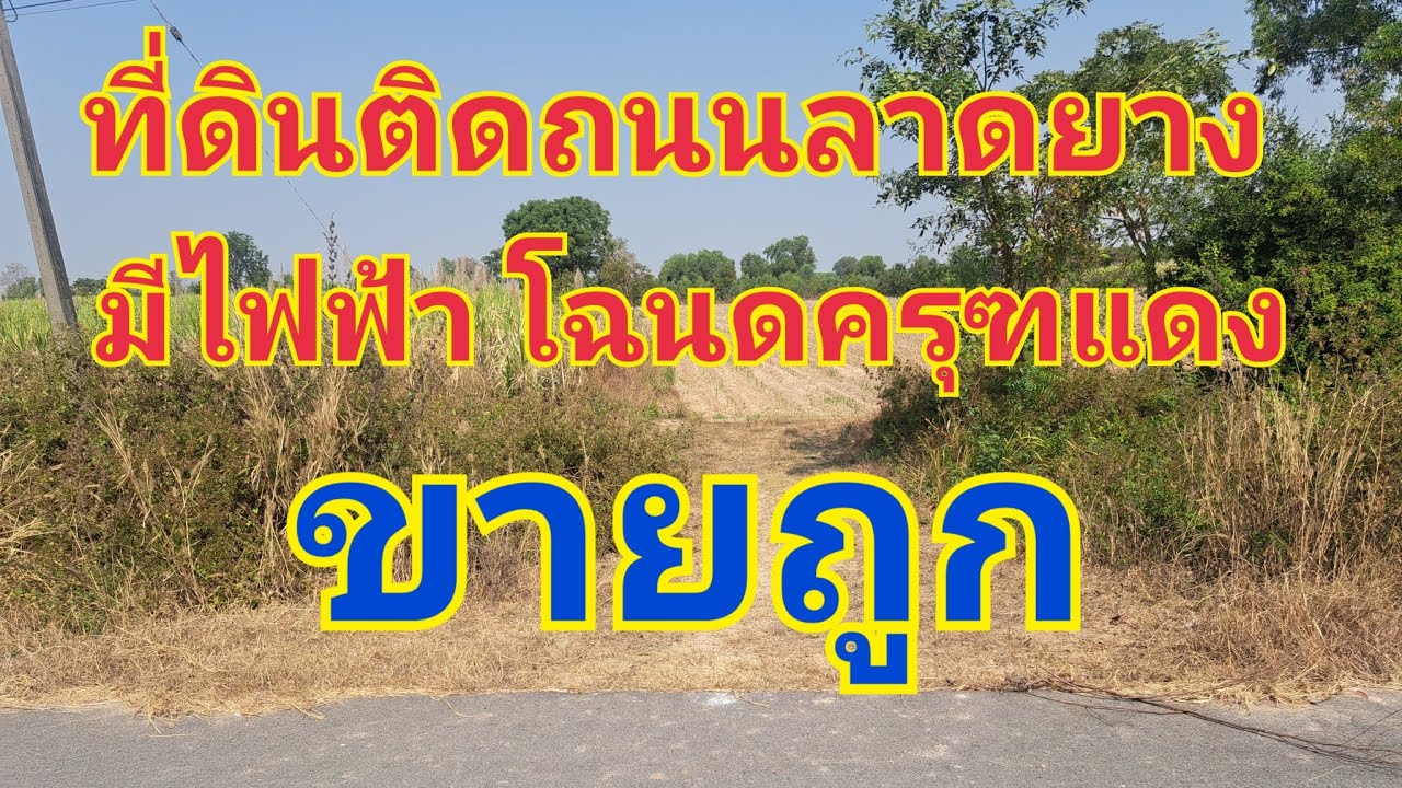 EP.#561# ที่ดินติดถนนขายถูก094-7838419