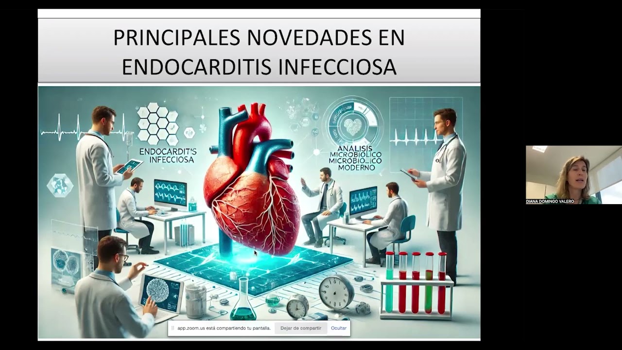 Unidad de endocarditis infecciosa. Circuitos asistenciales y resultados locales