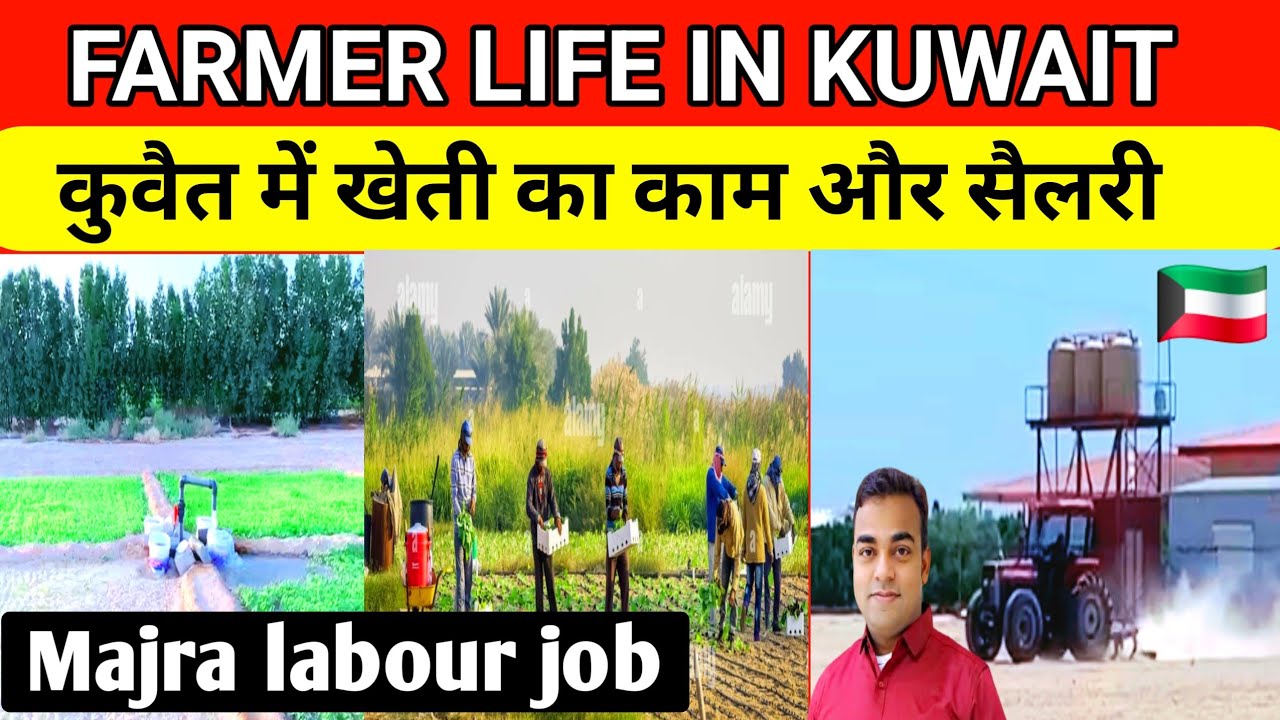 कुवैत माजरा जॉब सैलरी | Kuwait majra job | job in Kuwait | 