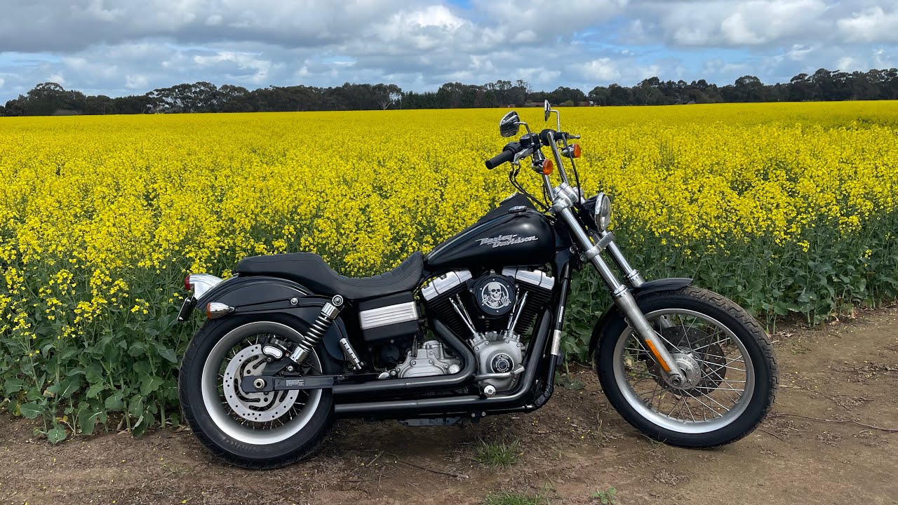 2008 Harley Davison Street Bob Dyna walk and talk around (the best bike harley ever made)
