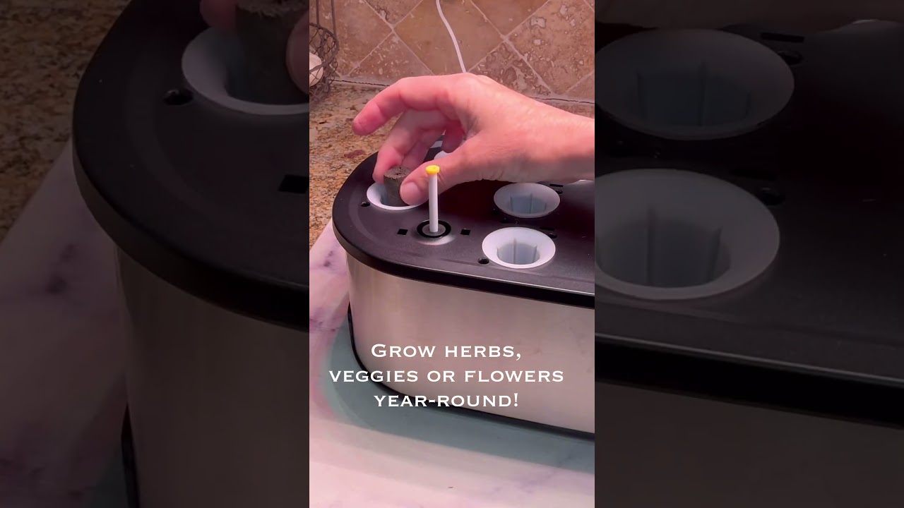 Grow Fresh Herbs Indoors with the LetPot LPH-SE Hydroponics Growing System! 🌿✨ #amazonfinds #amazon