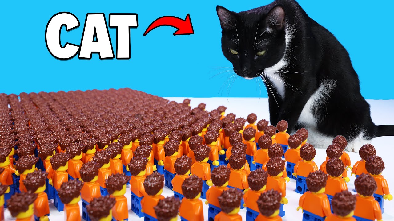 1000 минифигурок LEGO против кота