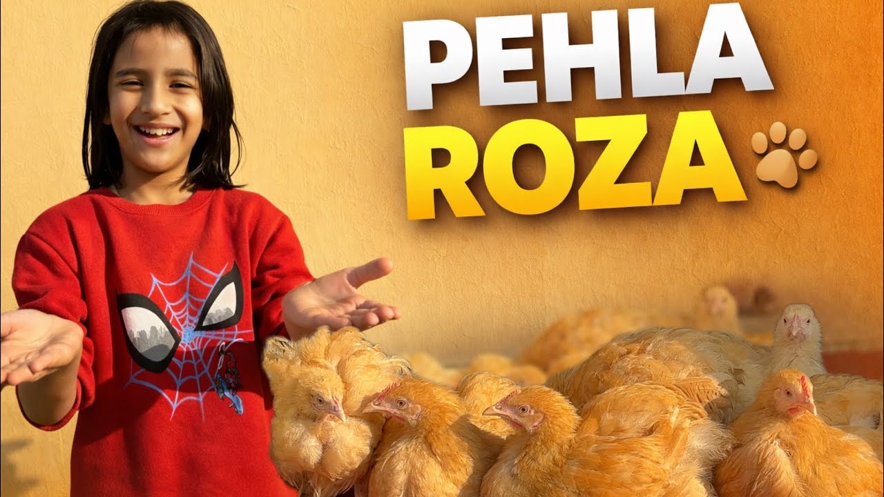 Ramzan Ka Pehla Roza Aur Animal 🥺 Kaisa Guzra Din