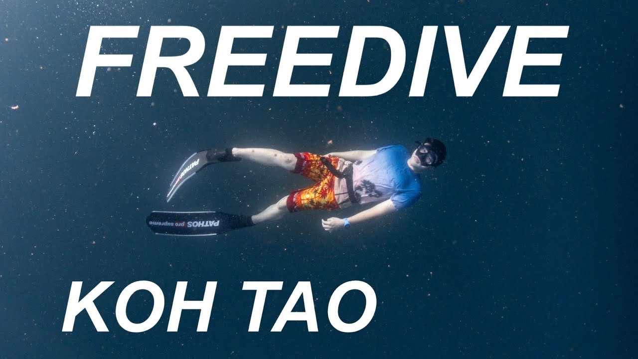 เรียนดำน้ำแบบฟรีไดฟ์ที่เกาะเต่า Freediving LV1 Koh Tao