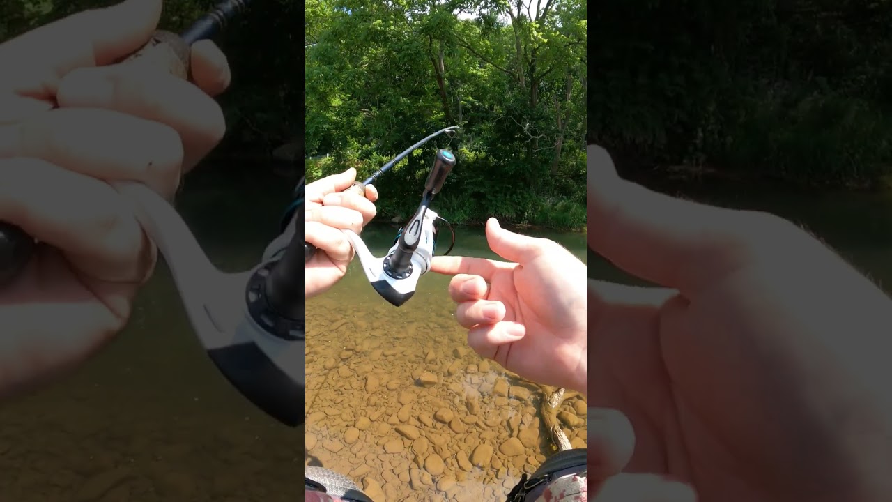 FISH BATTLE on LIGHT LINE🥊 #jesus #godisgood #shorts #fishing #fish #trout #bigfish #fyp #viralvideo