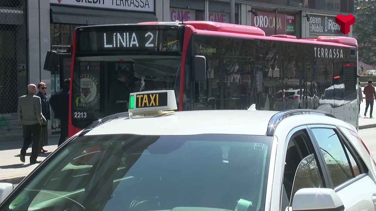 A finals d'aquest any els gossos podran pujar als autobusos de TMESA