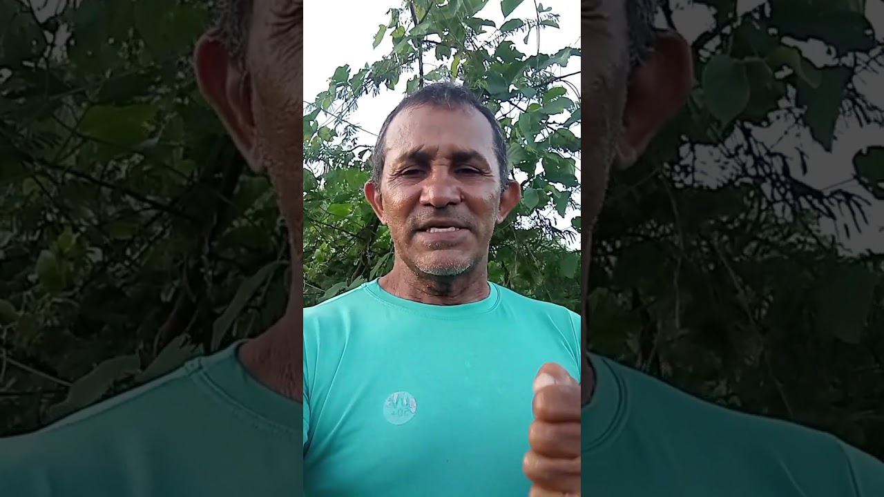 Nada podemos contra a verdade mais somente em favor da verdade 