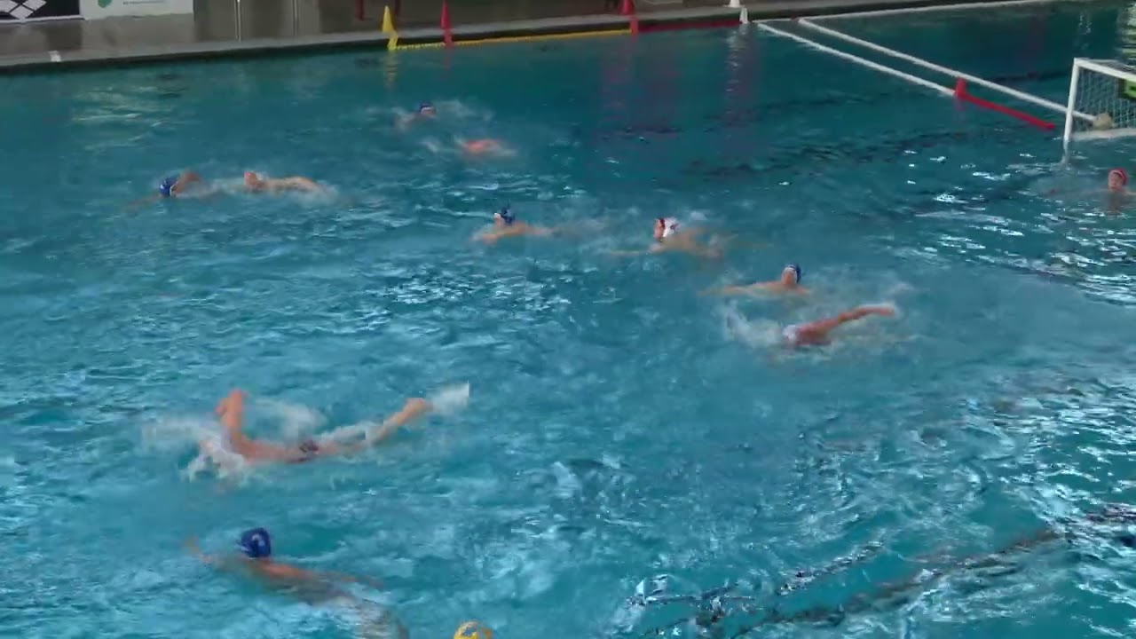 White Sharks Hannover : SV Krefeld 1972 / Deutsche Wasserball Meisterschaft U16 Männer / 26.04.2025