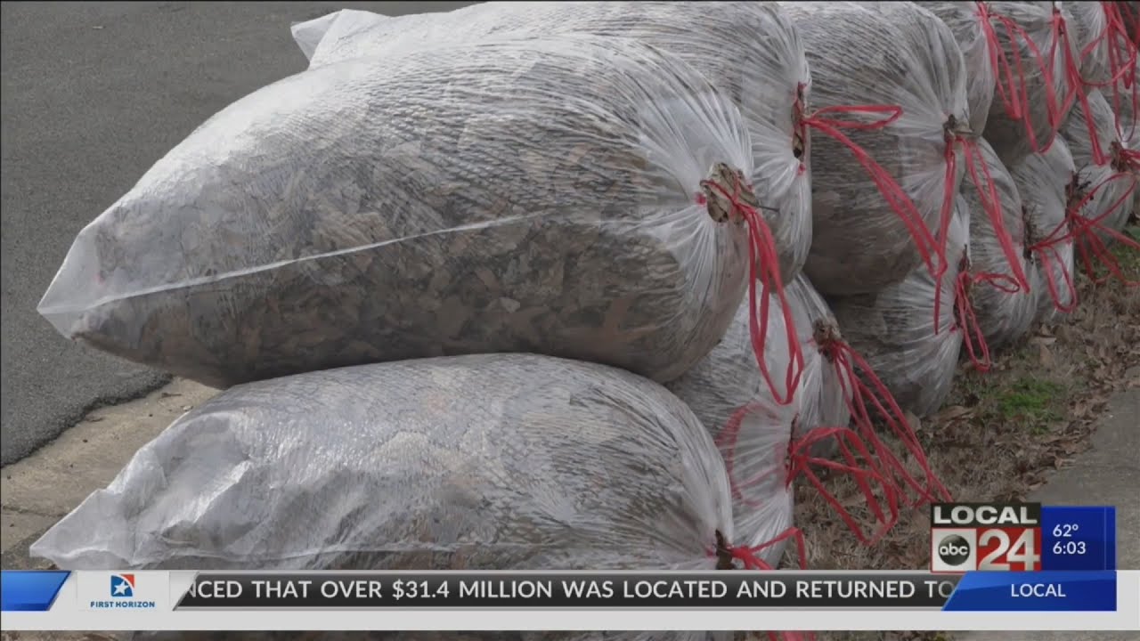 Clean up leaves & debris before storms reach the Mid-South