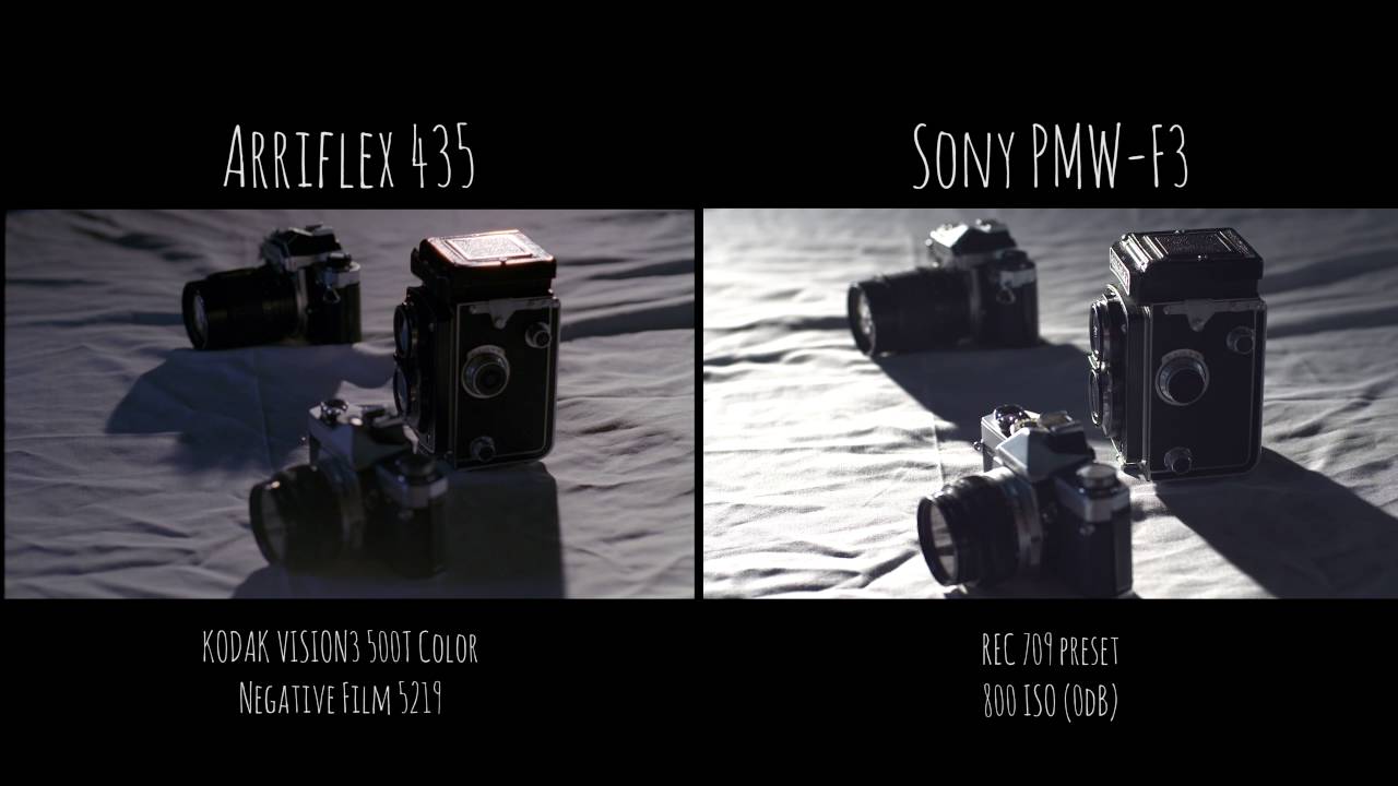 35mm vs Sony F3  - film and video comparison