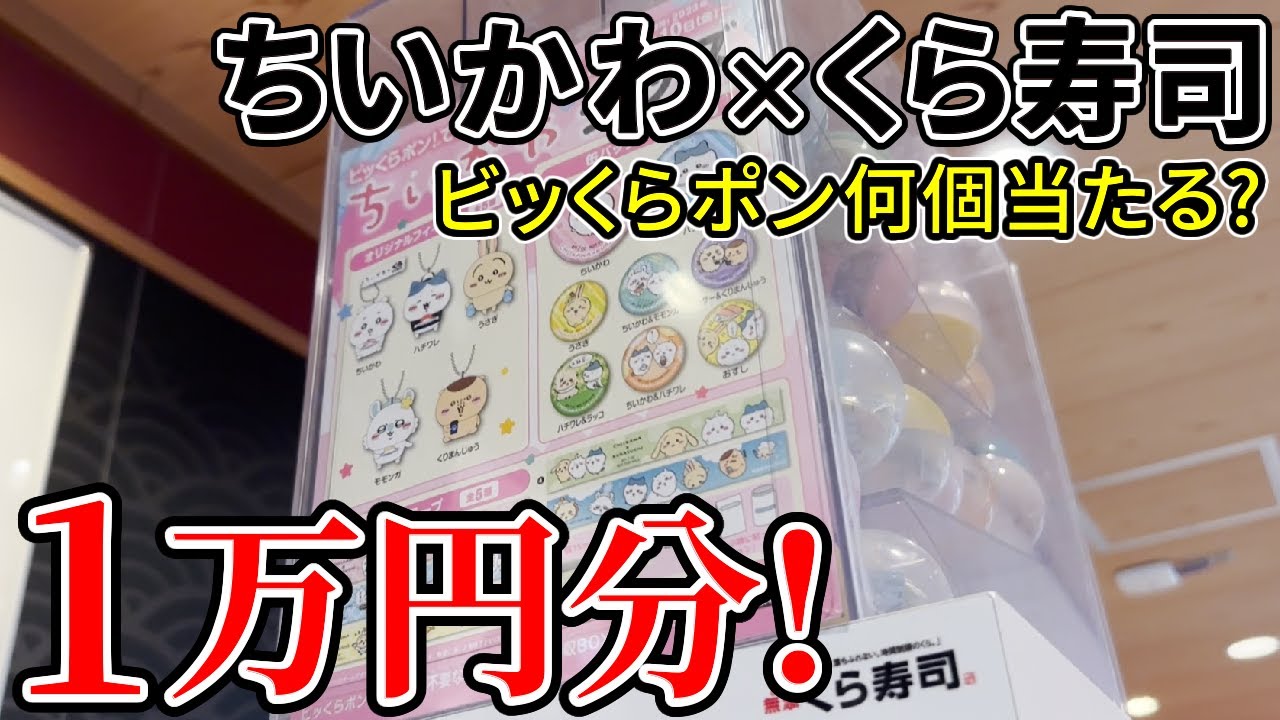 【ちいかわ】くら寿司コラボ！フィギュア賞狙いで1万円分！ビッくらポンは何個当たる！？