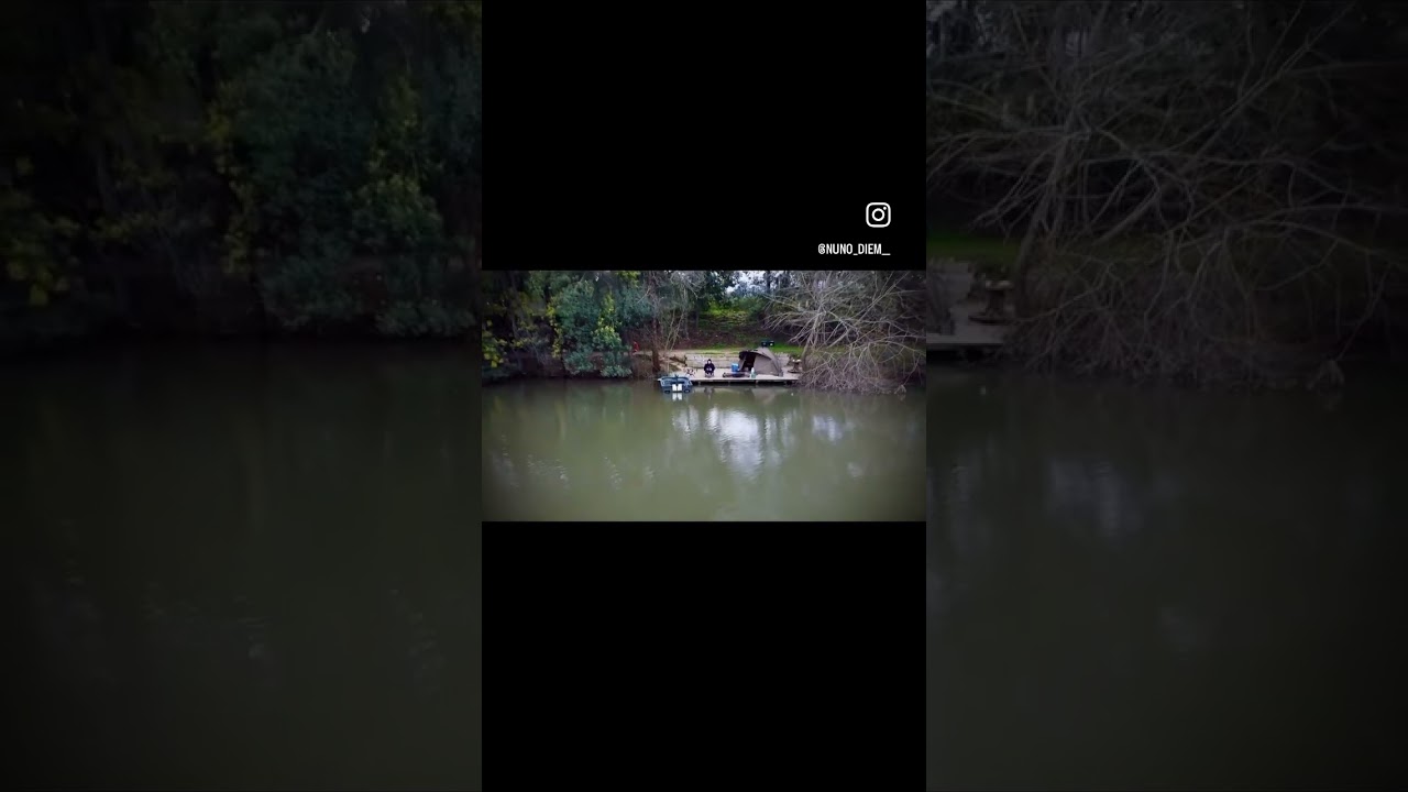 CARPODROMO       #carpangler  #carpgame #carpfishing #carpfishinglife #carp #carpfishingportugal