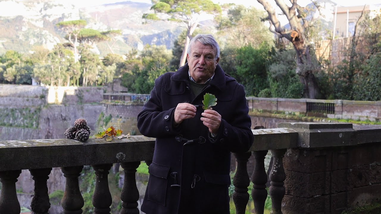 I Legni nella costruzione navale tradizionale - Asso Vela a Tarchia - Episodio 08 - Sorrento