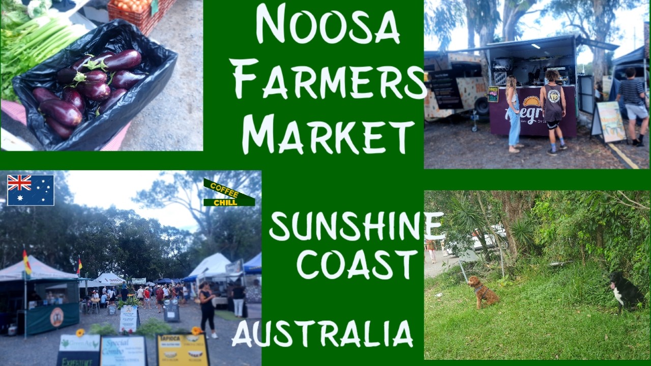 Noosa Farmers Market - Sunday Morning Walkabout - Noosaville - Sunshine Coast QLD Australia #qld TV