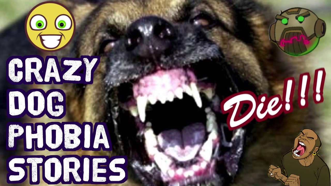 25. Let's Do This!!! - Dog Phobia Stories