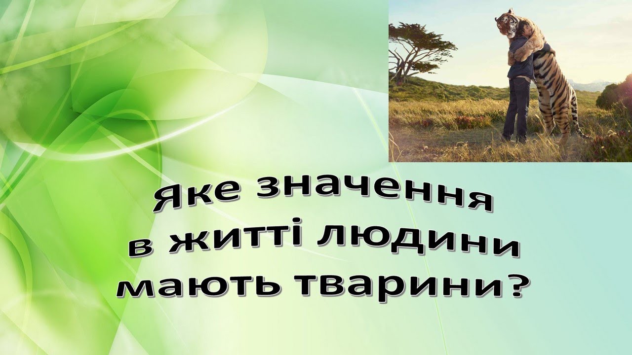 Урок 77: Яке значення в житті природи мають тварини? Я досліджую світ 3 клас