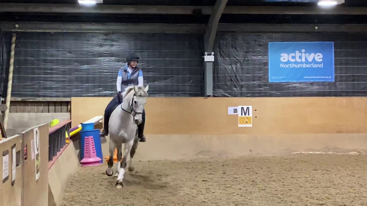 January Dressage Training