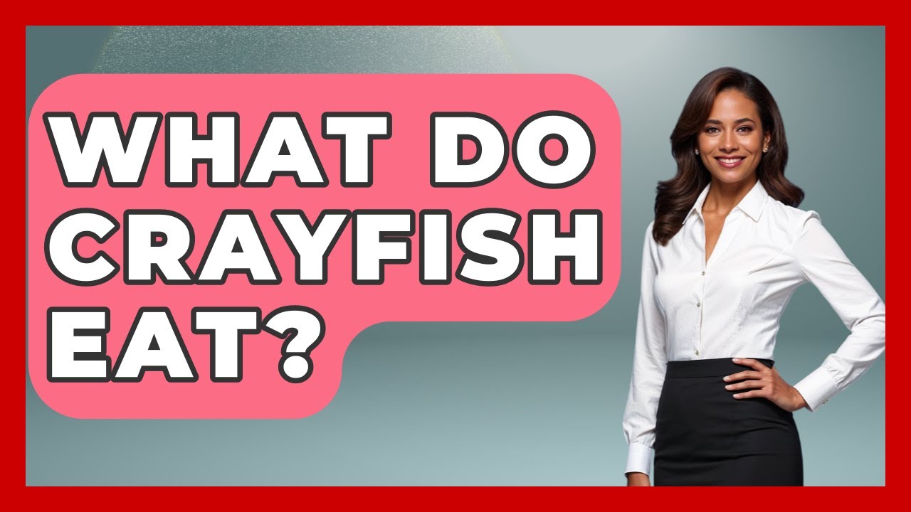 What Do Crayfish Eat? - Chasing Big Fish