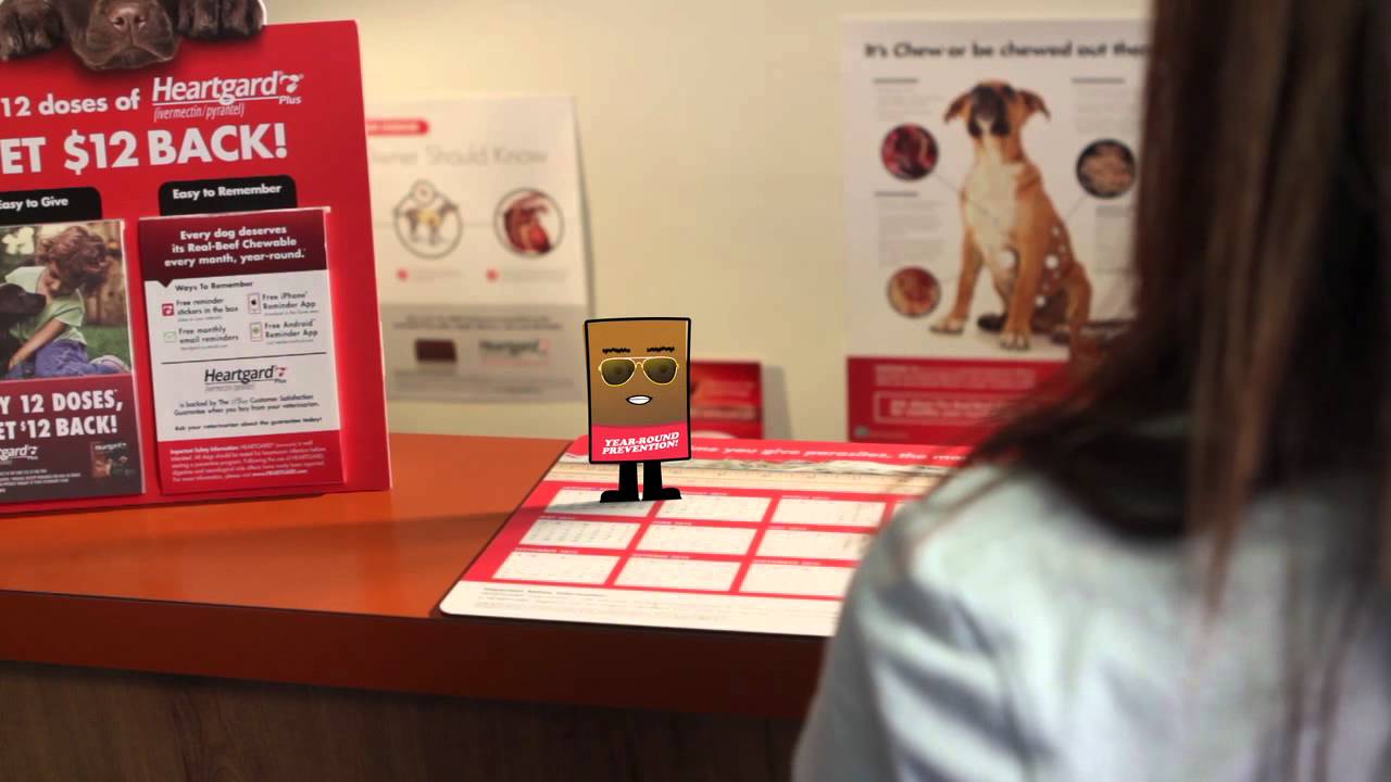 Heartgard Chew Presents: Year-Round Prevention