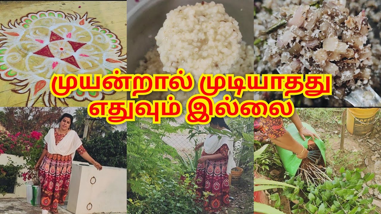 🤷‍♀️ரொம்ப நாள் என்னால் செய்ய முடியுமானு  நினைத்ததை இன்று செய்து விட்டேன்👍 |gardening tips  #vlog