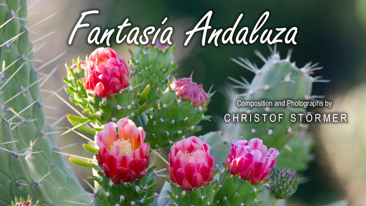 Fantasía Andaluza