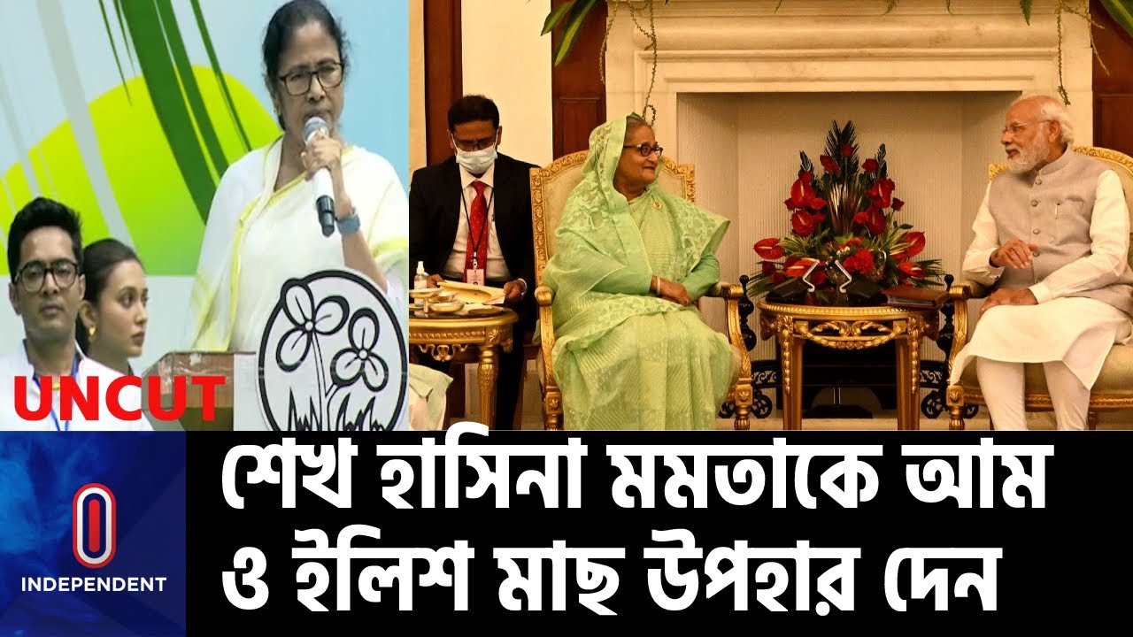 শেখ হাসিনার সঙ্গে আমাকে দেখা করতে দেয়নি বিজেপি: মমতা || Mamata Banerjee