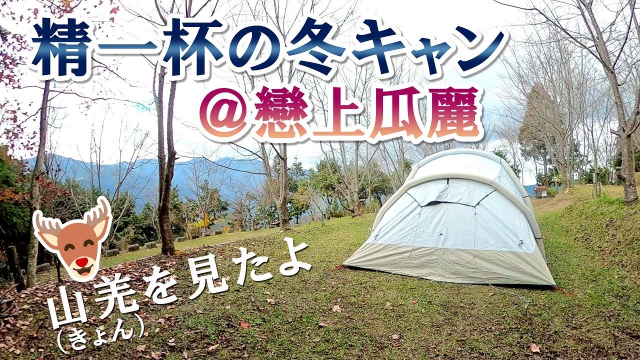 冬のキャンプで山羌🦌（きょん）に出会う(=ﾟωﾟ)ﾉ/戀上瓜麗露營區