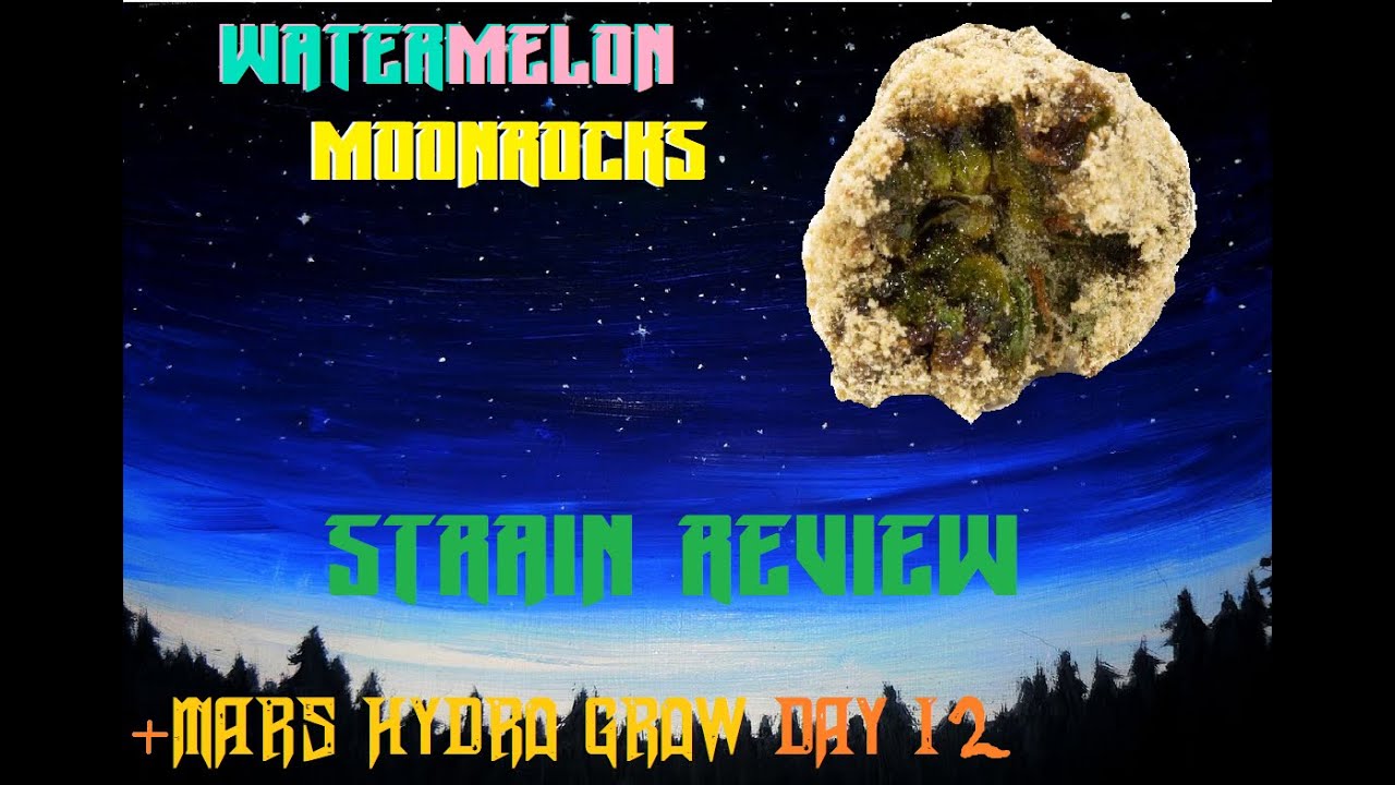 Watermelon Moonrocks Review +Mars Hydro Grow day 11