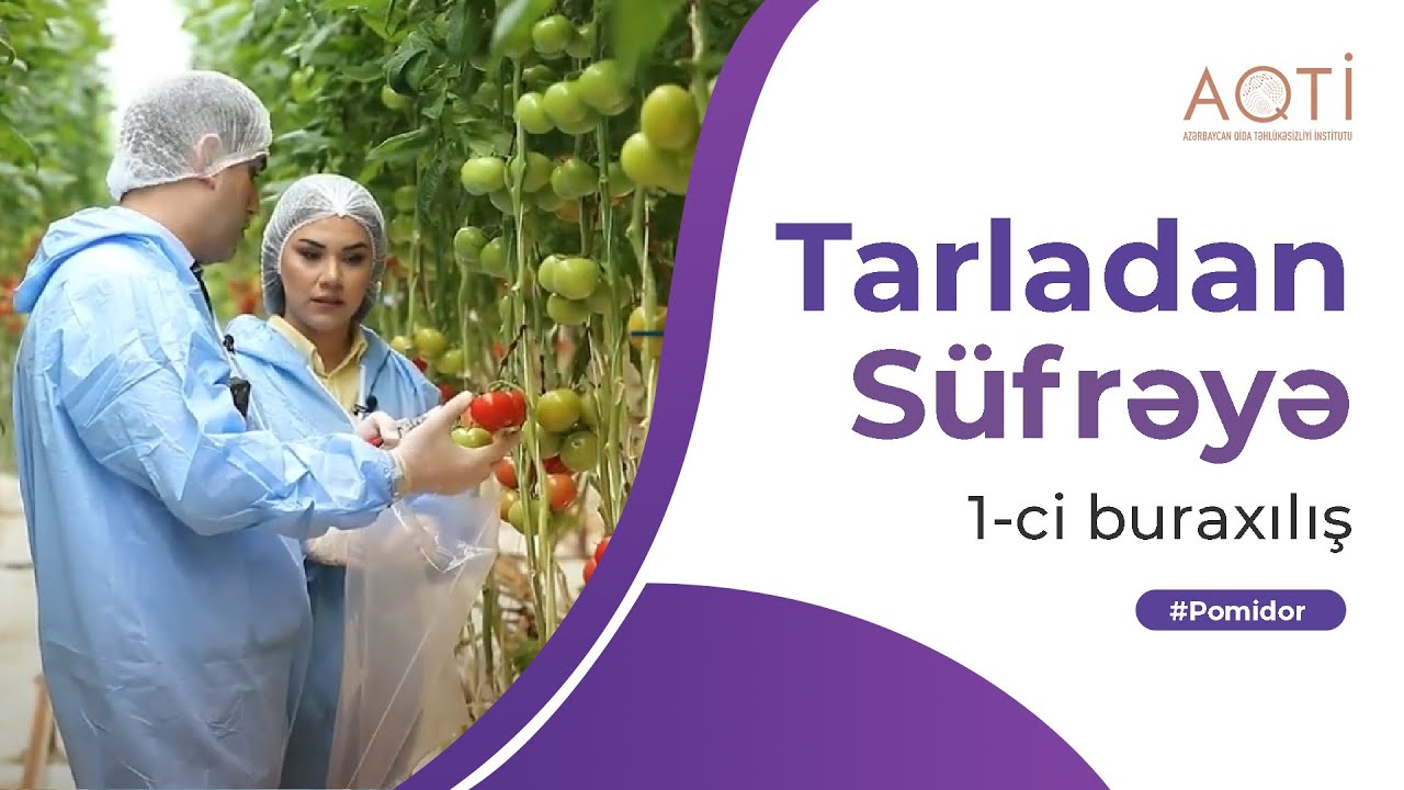 Tarladan Süfrəyə 1-ci buraxılış #Pomidor