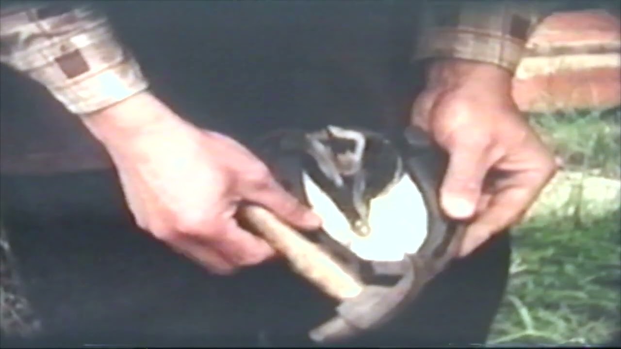 Vik strandsitjarmiljø