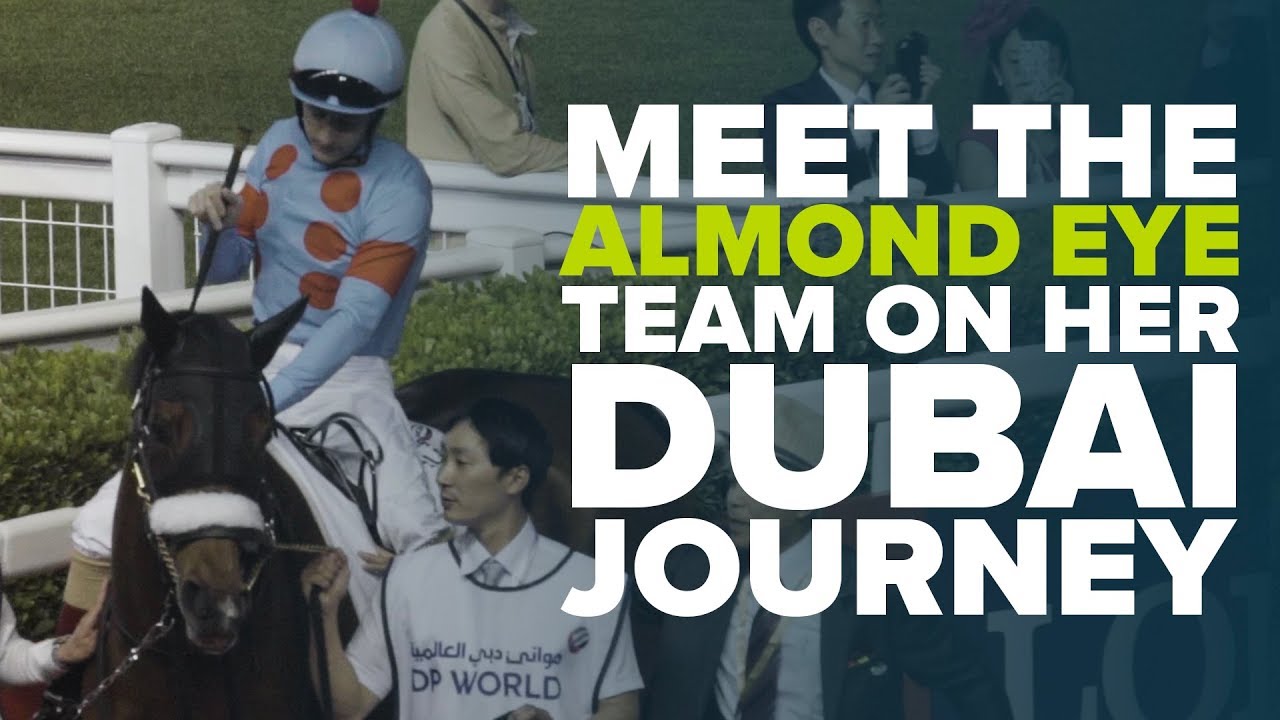 THE SUPERSTAR FROM JAPAN | Almond Eye's Journey to the Dubai World Cup