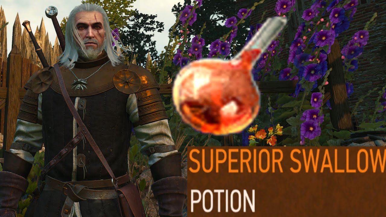 How do I make a swallow potion in Witcher 3?