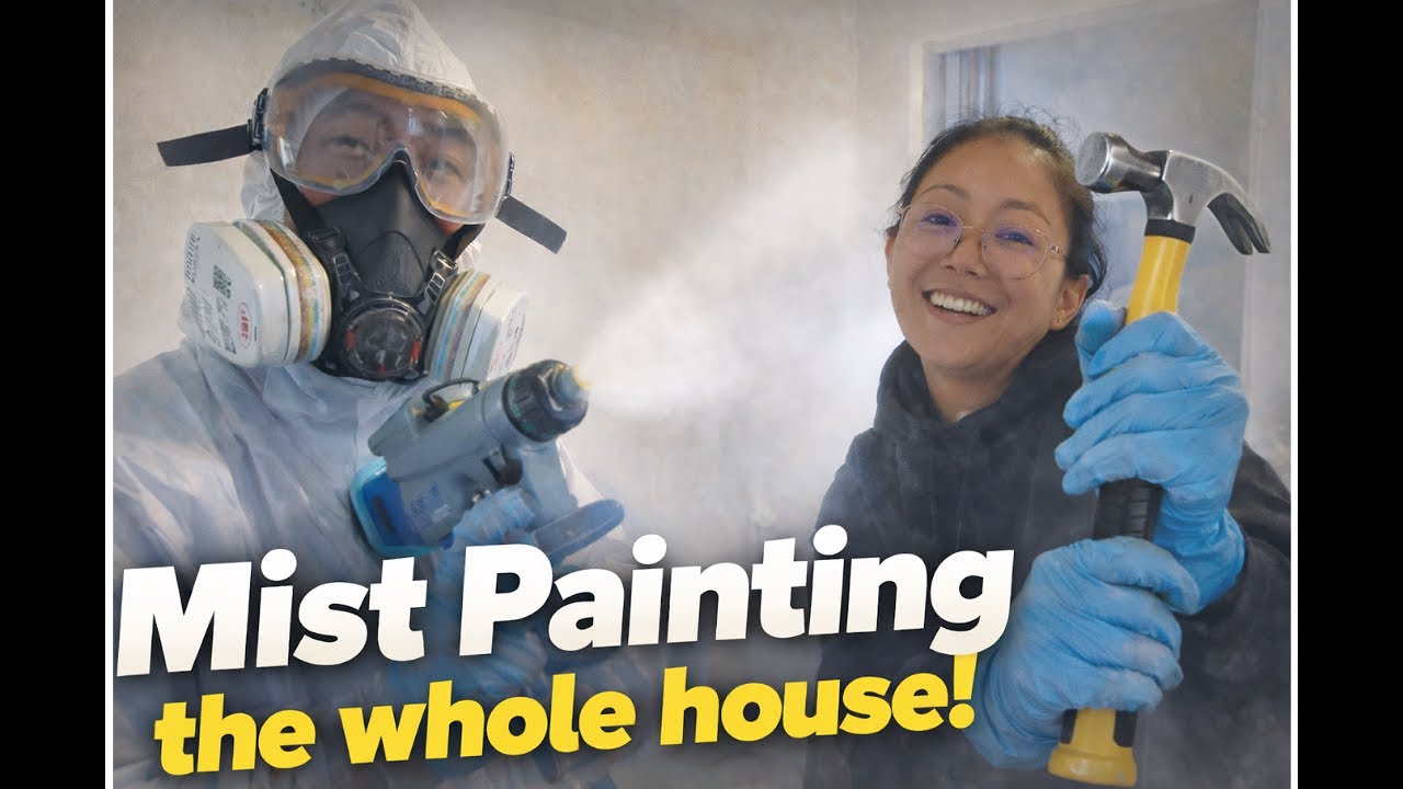 Painting the whole house ! Airless paint sprayer saved the day.