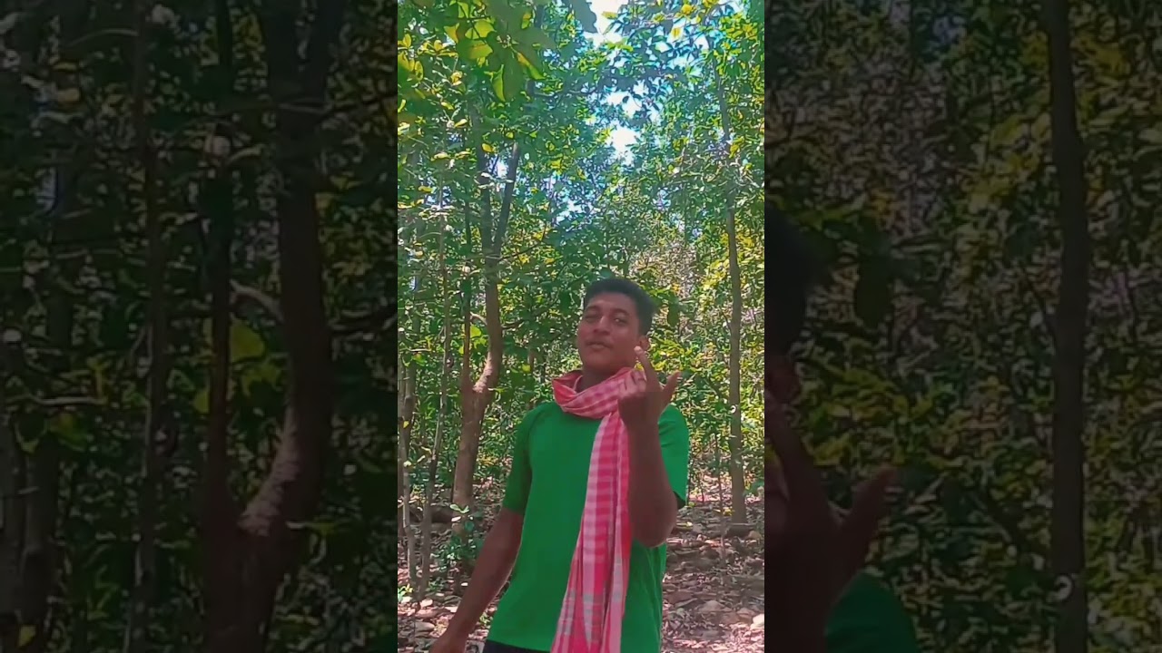 Dil ka darwaja rani am lagid khulao mena💕🥰❤️#santhalivideo #kolhanallroundervlog #santhalireels 💕