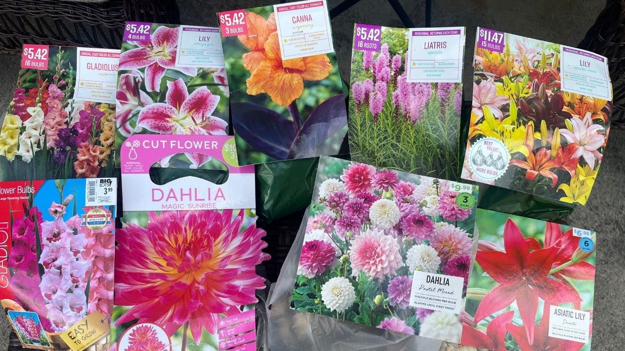 2023 Summer Flowering Bulbs Haul 🌸🌺🌻