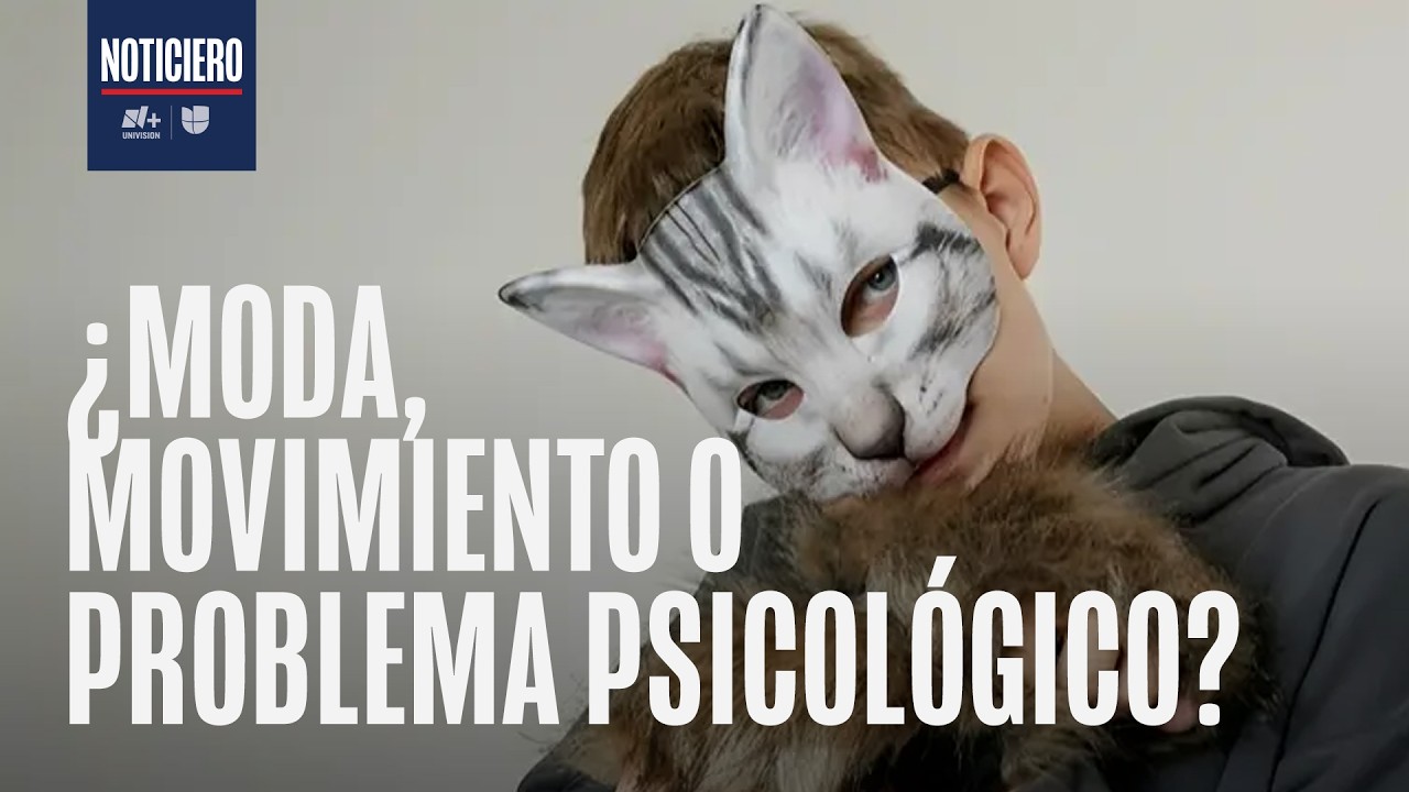 ¿Qué hacer si mi hijo o hija se identifica como Therian? Psicóloga da consejos a padres