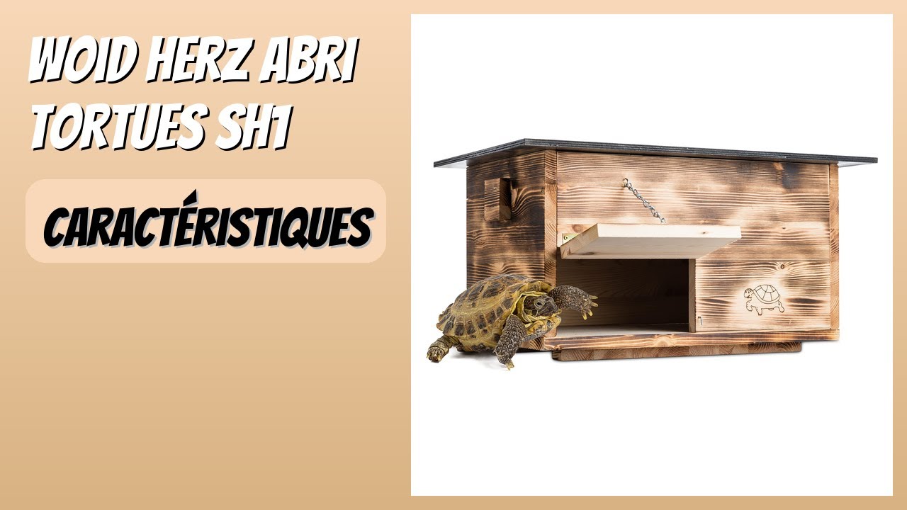 AVIS (2026) : Woid Herz Abri Tortues SH1. DÉTAILS