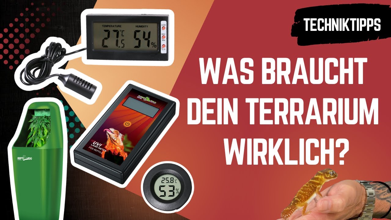 🔧 Was braucht dein Terrarium WIRKLICH? UV, Nebler, Thermostat & Co. 💦