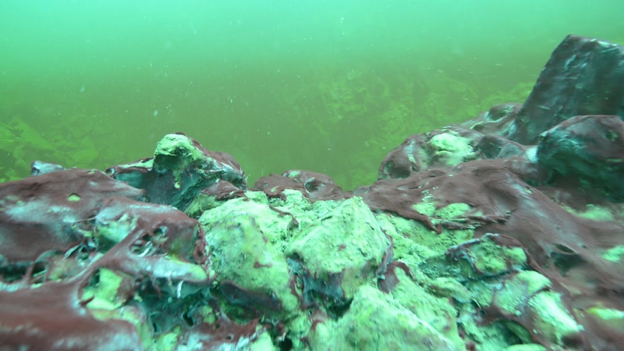 Lake Huron Sinkhole gives Clues to Oxygen Production on Early Earth