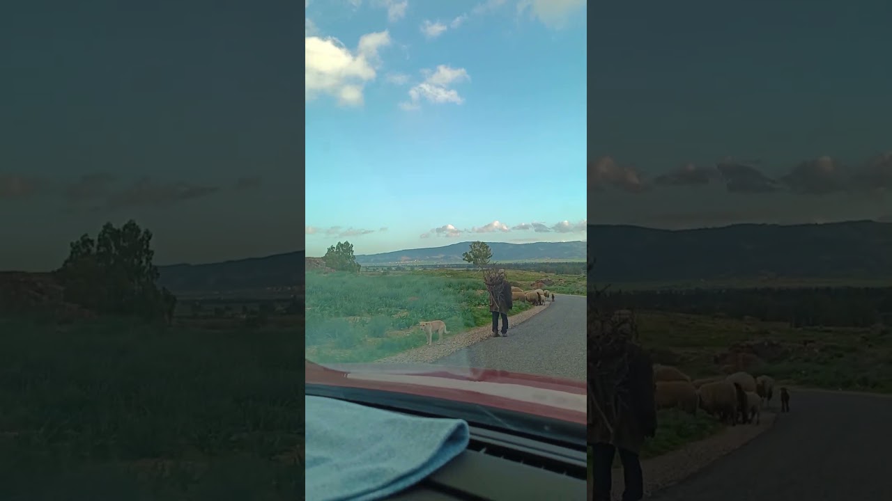 لا تتجاوز هذا المشهد ⛰️ 