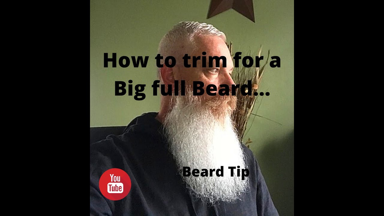 How to grow a big thick beard. When to stop trimming beard neckline? Apply beard oil to a dry beard