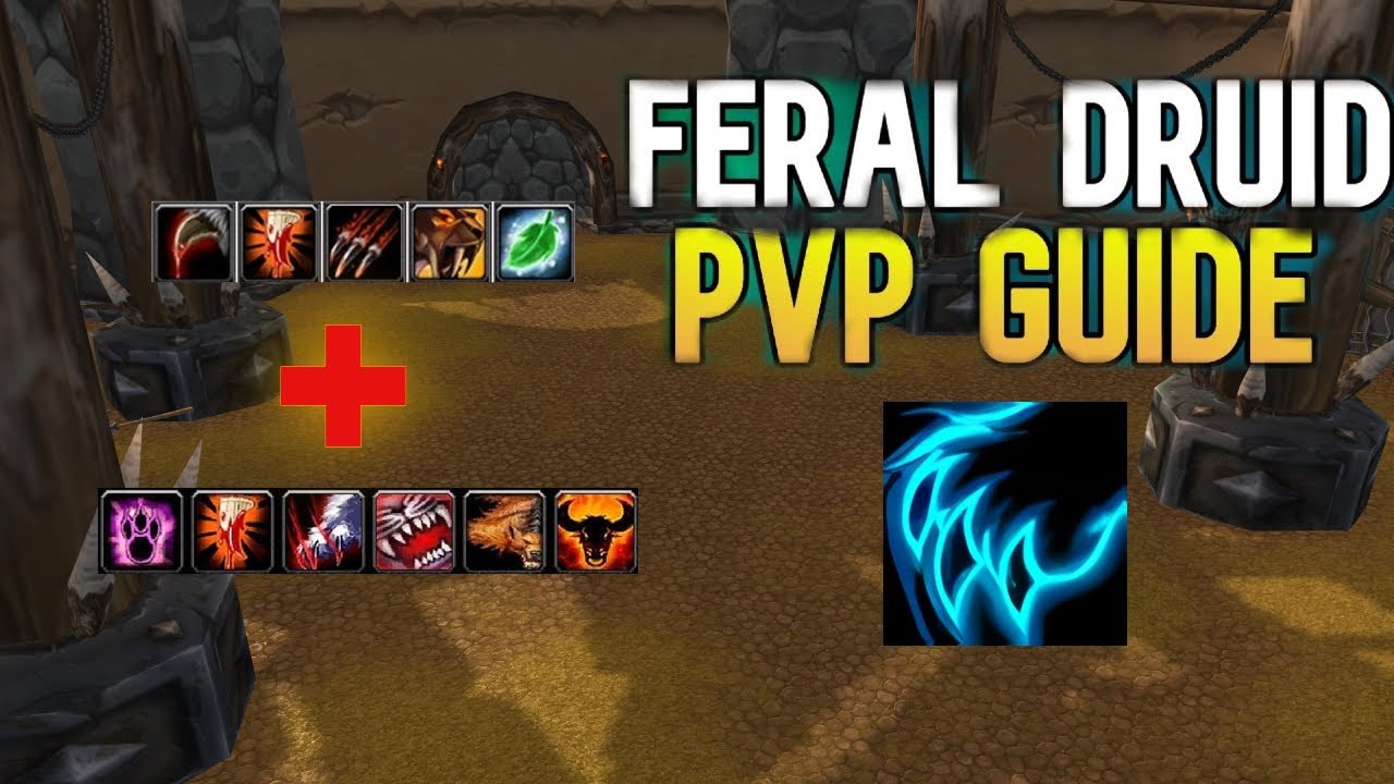 classic wrath- feral pvp guide how to beat war, heal pala 2v2 arena EXPLINATION