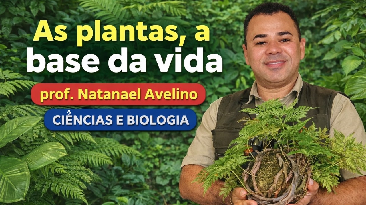Reino vegetal: os produtores de matéria e energia
