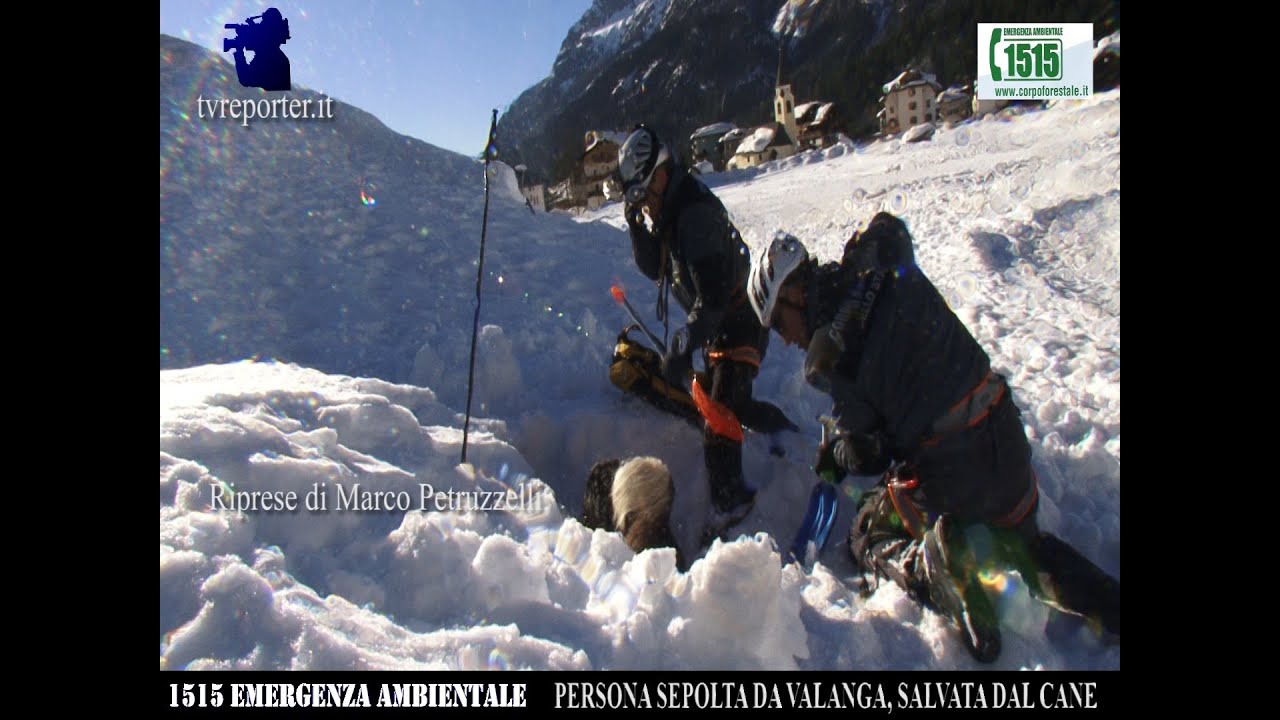 UOMO SEPOLTO DA VALANGA VIENE SALVATO DAL CANE -ESERCITAZIONE 1515 EMERGENZA AMBIENTALE