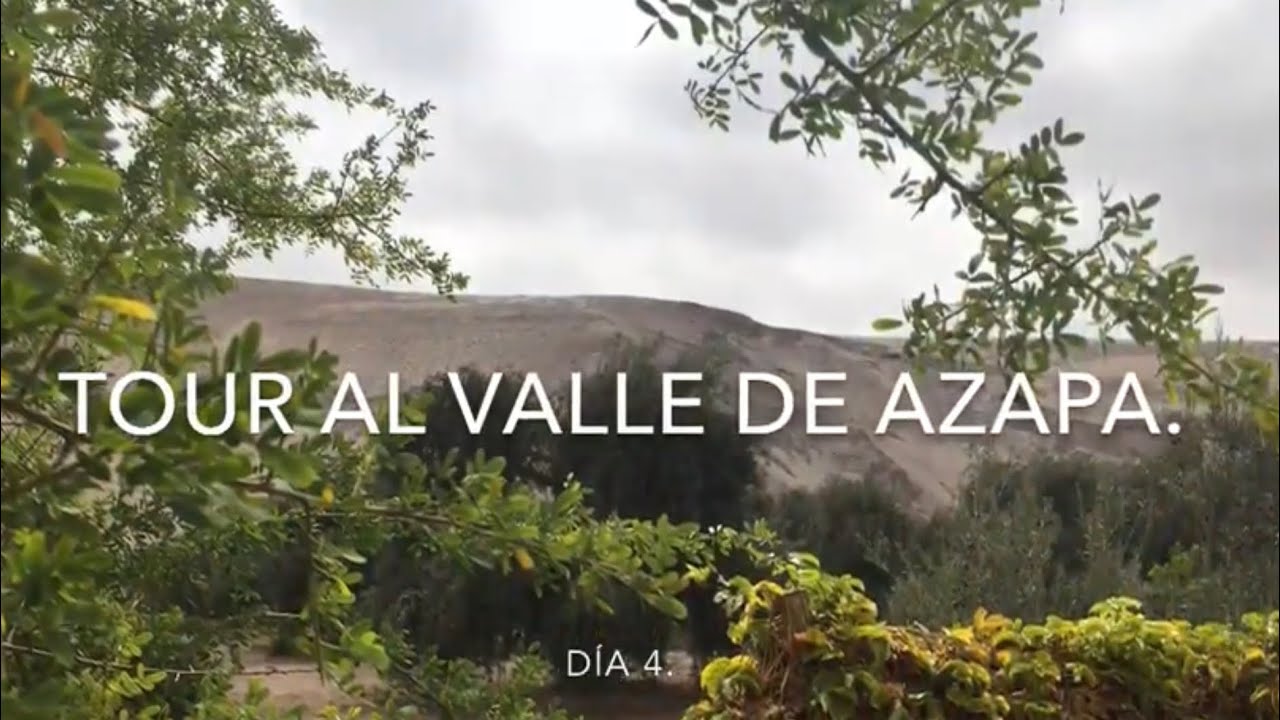 Día 4 en 5 días y 4 noches en Arica y Parinacota -  Hoy Valle de Azapa