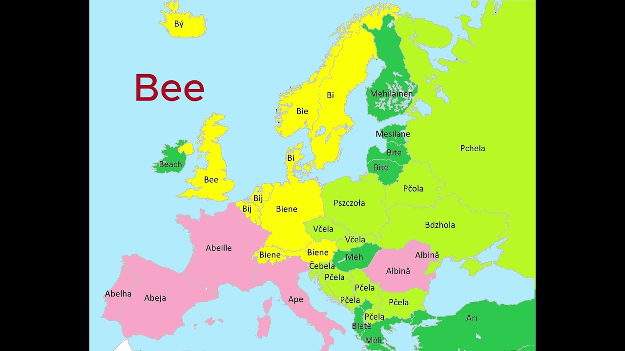Insects in Different European Languages | Language Map