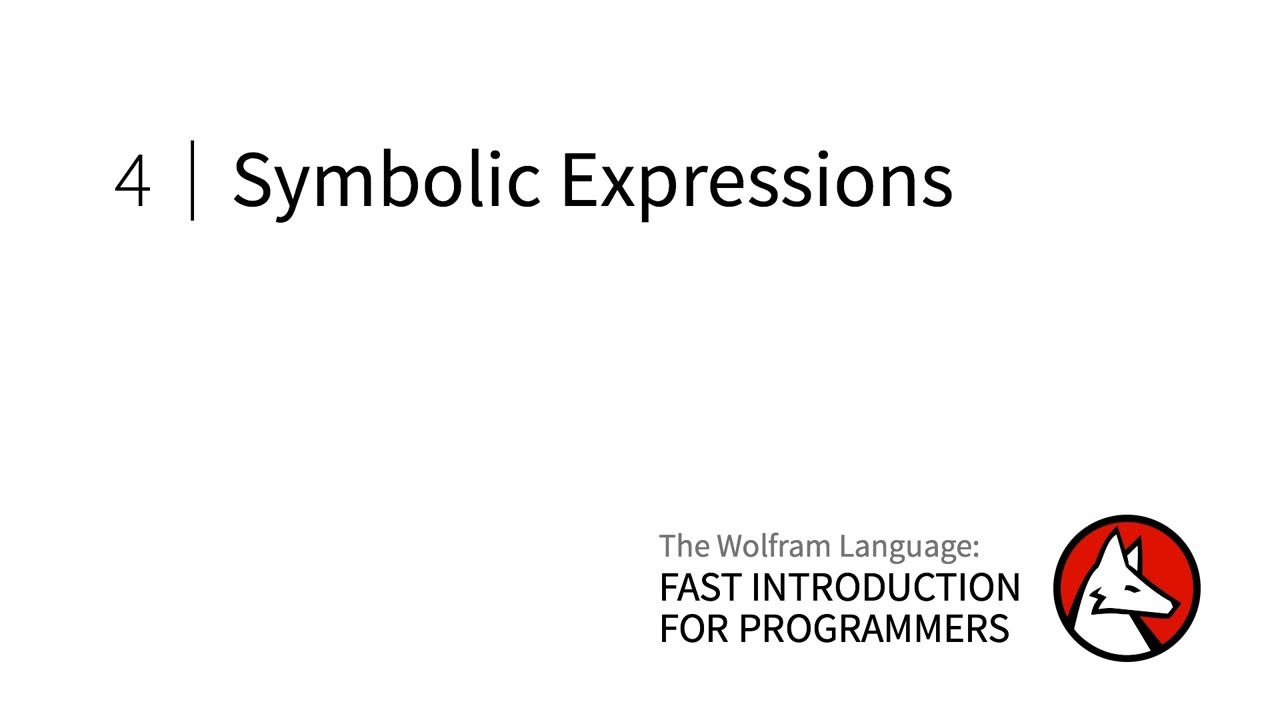 Fast Introduction for Programmers: Symbolic Expressions