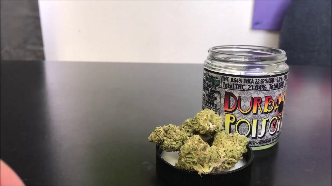 Recreational Cannabis Review of Durban Poison By Budco Farms 1 E WLYfff0