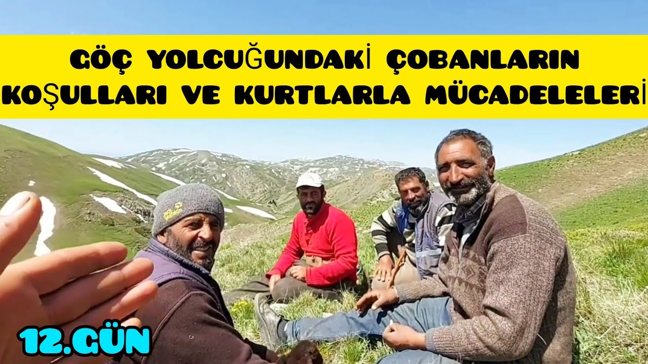 AYNI OBANIN ÇOBANLARI BİR ARAYA GELDİ--ÇOBANLARIN BAŞINDAN GEÇEN KURT OLAYLARI
